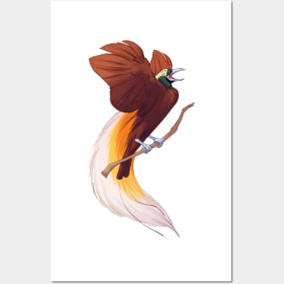 Lesser bird-of-paradise Posters and Art